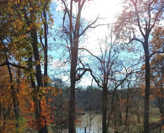 Blue Heron Landing RV Campground