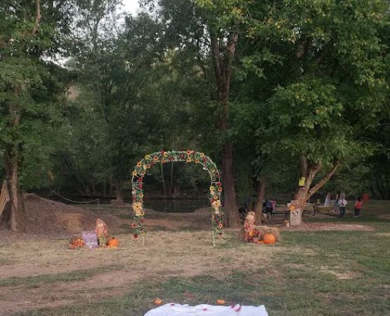 Coonskin Camp 218
