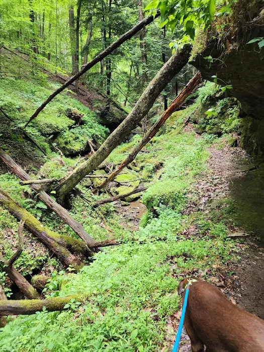 River Run Campground 9