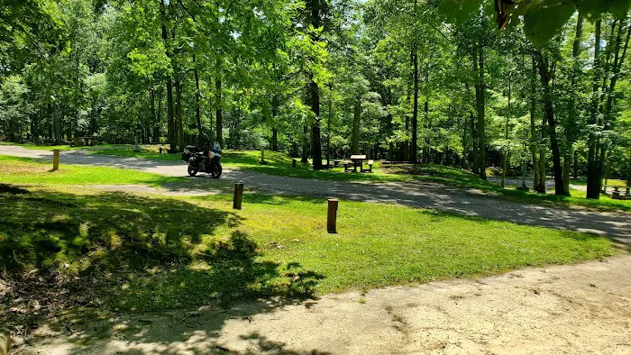 Mountwood Park Campground 4