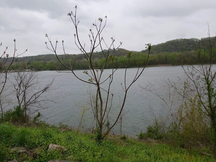 Socks Campground LLC 4