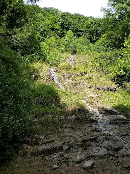 Pinnacle Creek ATV Campground 3