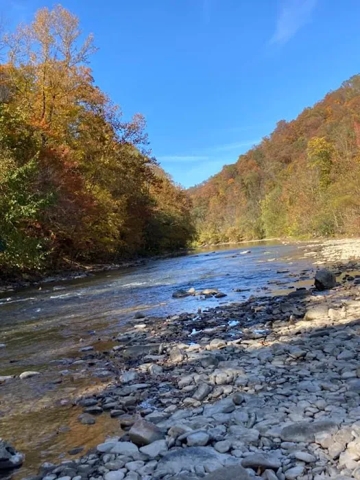 Hillbilly Rentals Resort & Campground 7