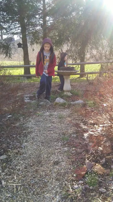 Paden City Park Campground 6