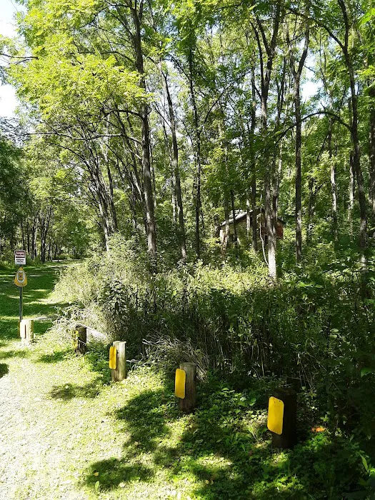 Mullett's Campground 1