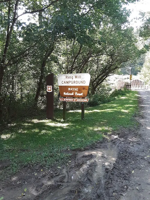Mullett's Campground 2