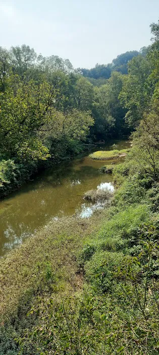 Mullett's Campground 6