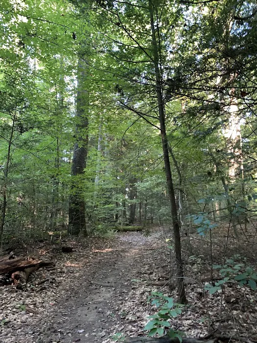 NPS Burnwood Group Campground 5