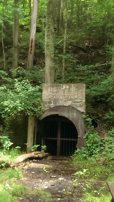 New River Gorge Campground 9