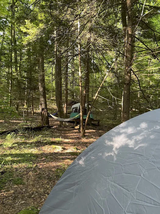 New River Gorge Campground - American Alpine Club 2