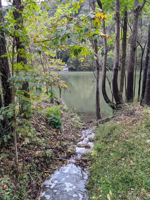 Hawk's Nest State Park Tentrr Double Site A 9