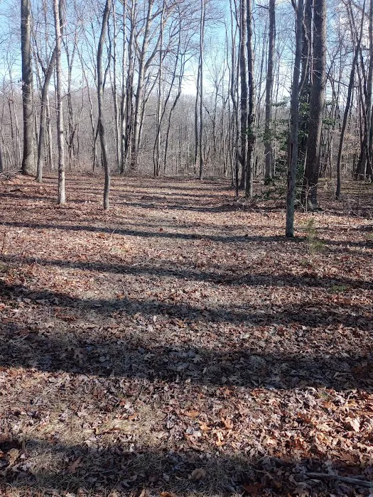 Midland Trail Campground 2