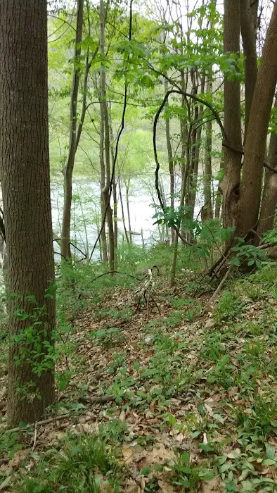 Stone Cliff Campground 9