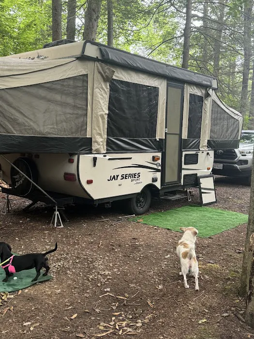 Wilderness Campground 2