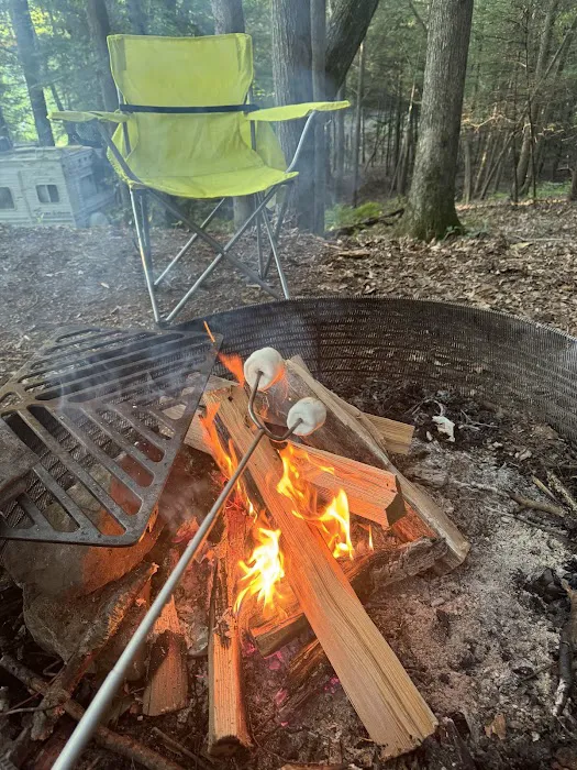 Wilderness Campground 3