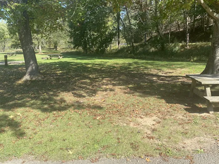 Beech Fork Campgrounds 8