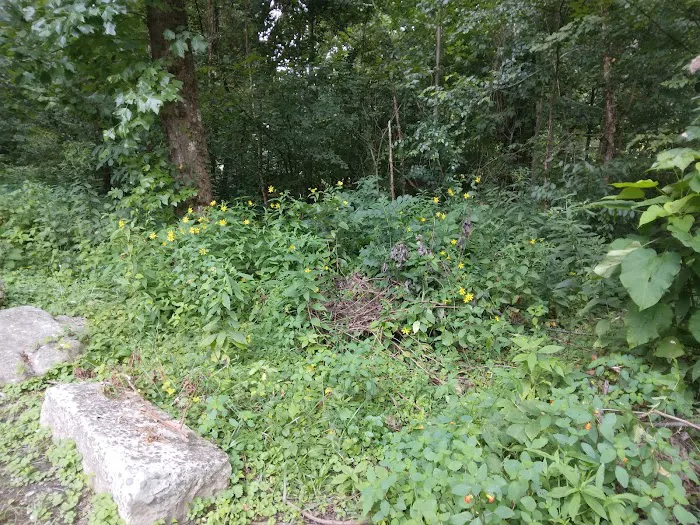 Thayer Campground 7