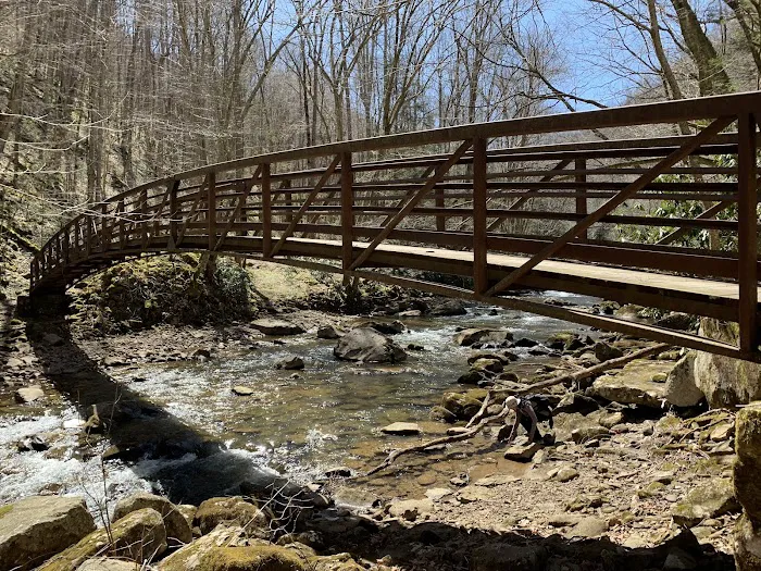 Glade Creek Campground 0