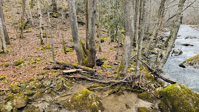 Glade Creek Campground 4