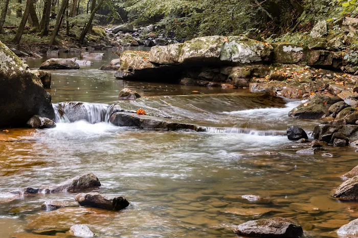 Glade Creek Campground 9