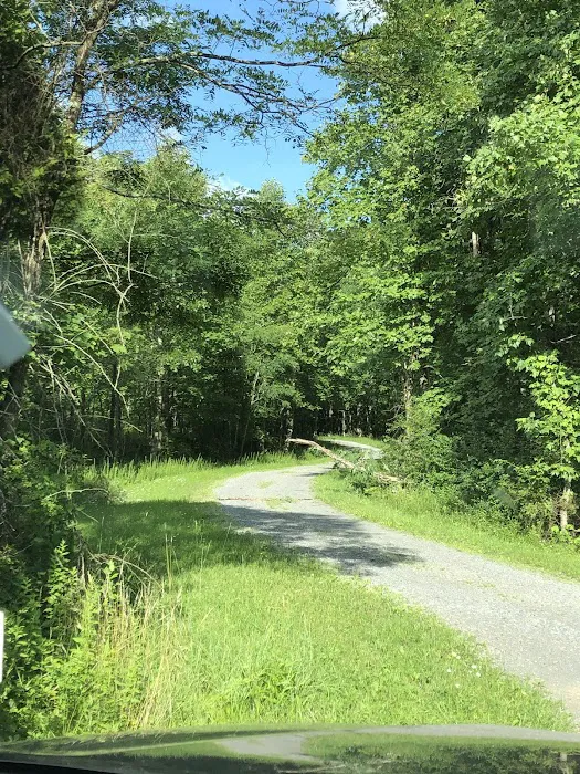 War Ridge/Backus Mountain Campground 4