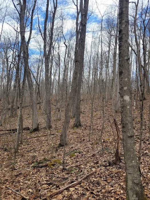 War Ridge/Backus Mountain Campground 8