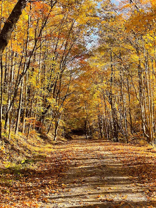 War Ridge/Backus Mountain Campground 3