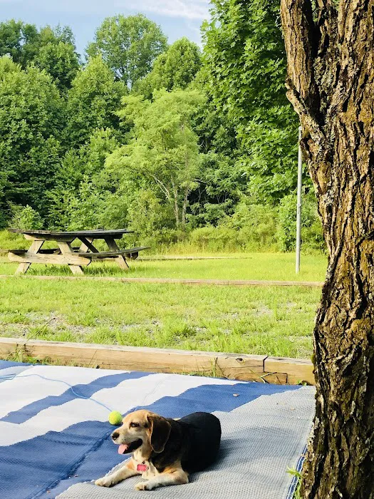 War Ridge/Backus Mountain Campground 0
