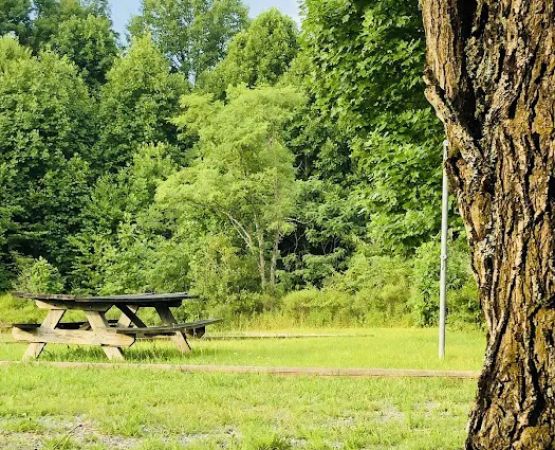 War Ridge/Backus Mountain Campground