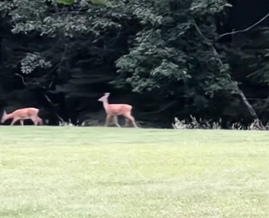 Little Beaver State Park Campground