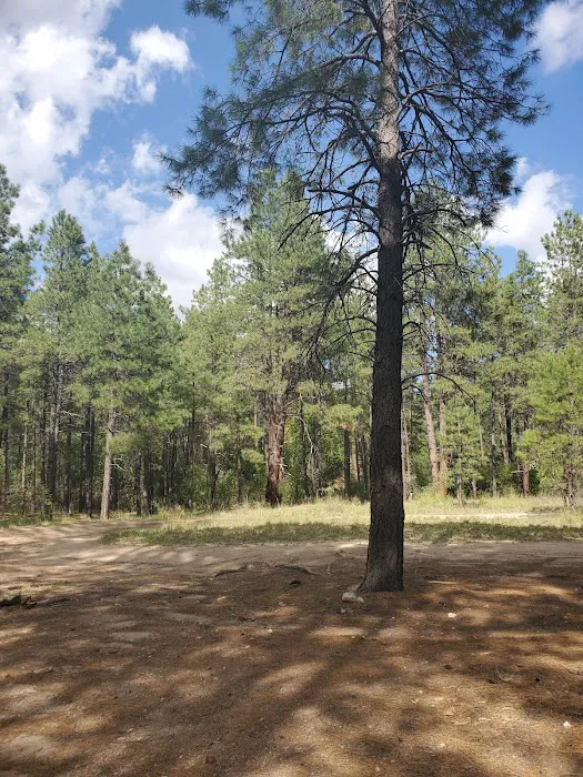 Turney Gulch Group Campground 0