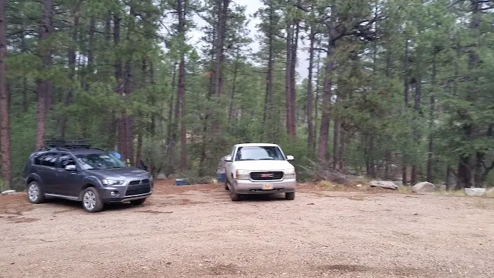 Turney Gulch Group Campground 8