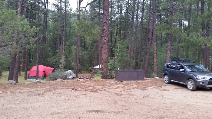 Turney Gulch Group Campground 4
