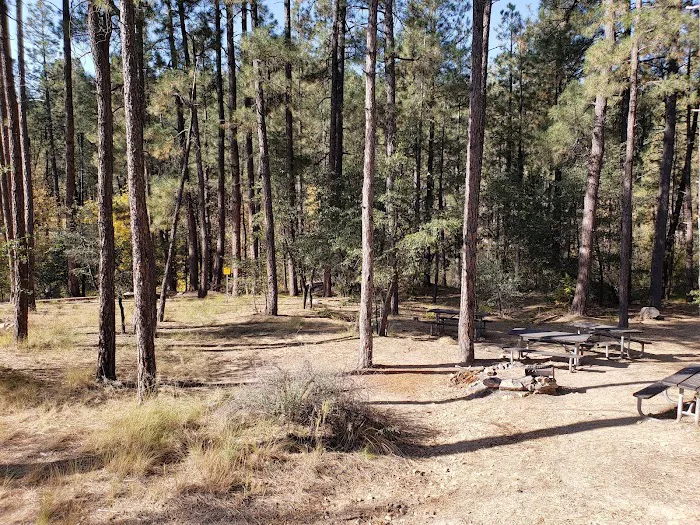 Turney Gulch Group Campground 5