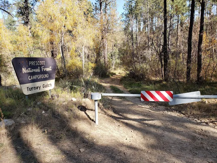 Turney Gulch Group Campground 6