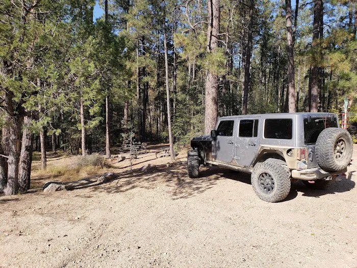 Turney Gulch Group Campground 7