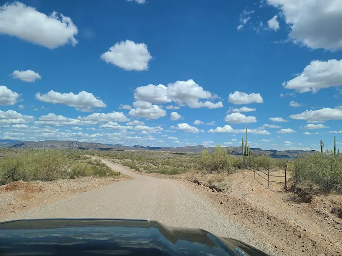 Camp Spot (BLM) 1