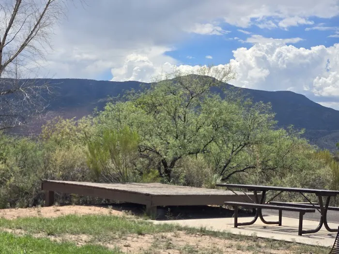 Cooper's Hawk Loop 0