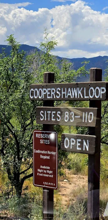 Cooper's Hawk Loop 1