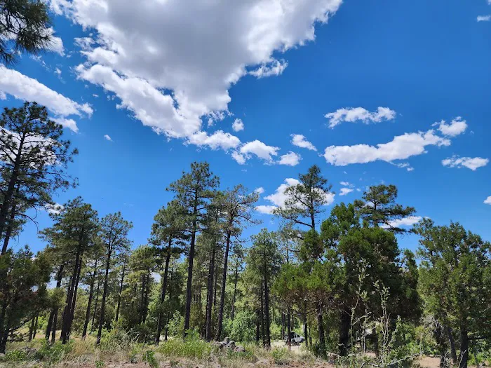 Mingus Mountain Vista & Picnic Observation Site (recgovnpsdata) 4