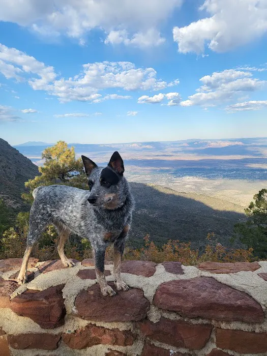 Mingus Mountain Vista & Picnic Observation Site (recgovnpsdata) 1
