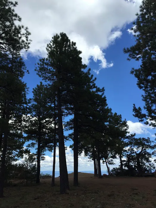 Mingus Mountain Vista & Picnic Observation Site (recgovnpsdata) 7