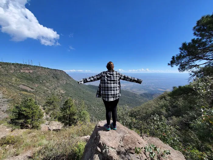 Mingus Mountain Vista & Picnic Observation Site (recgovnpsdata) 5