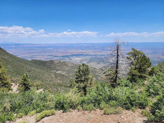 Mingus Mountain Vista & Picnic Observation Site (recgovnpsdata) 6
