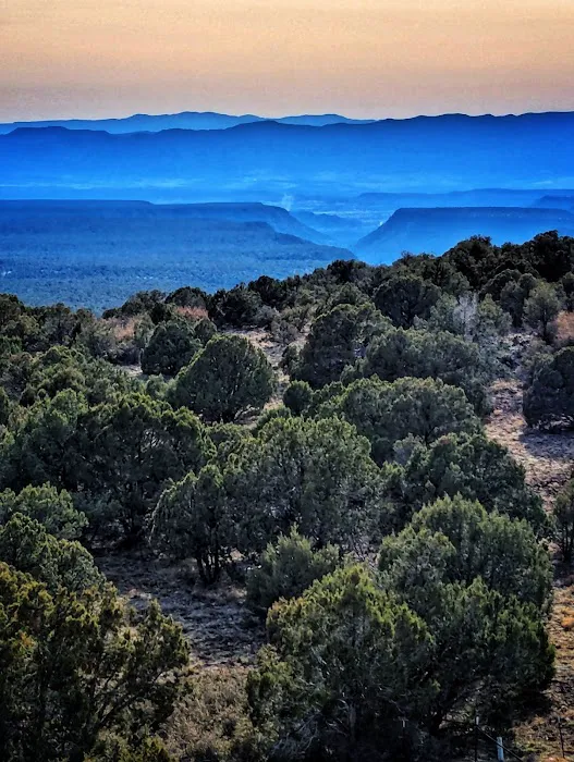 Mingus Mountain 1