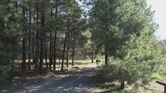 Mingus Mountain 4
