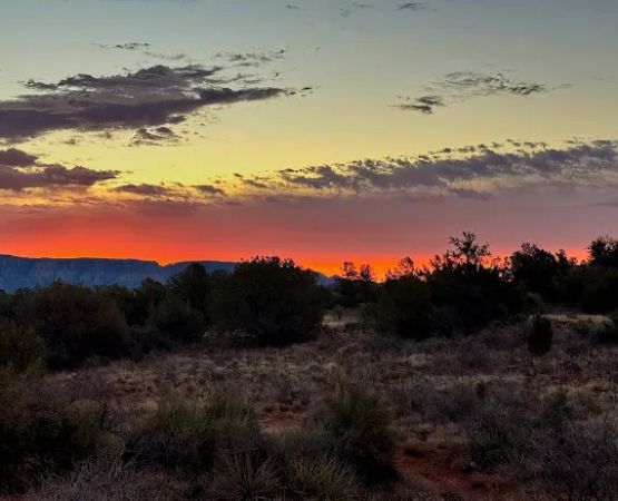 Suprize Designated Camping Area - Coconino National Forest