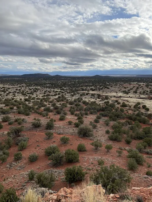 Suprize Designated Camping Area - Coconino National Forest 5