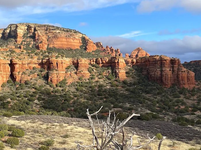 Suprize Designated Camping Area - Coconino National Forest 2