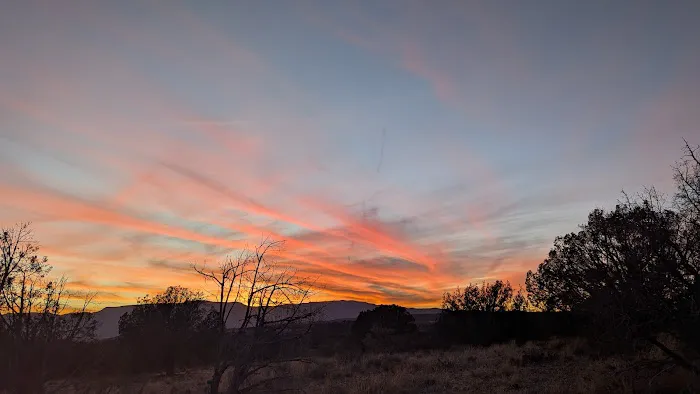 Javelina Campsite 9
